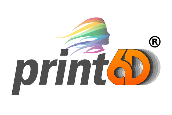 Print6D