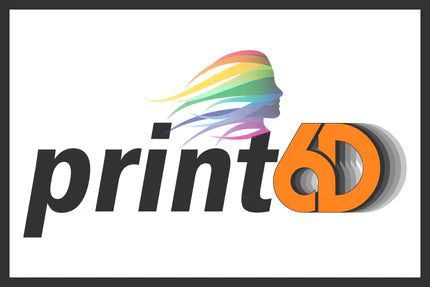 Print 6DD Logo